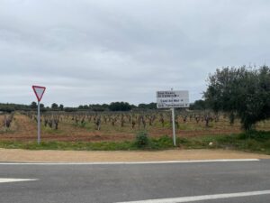 Senyalització carretera Diputació  (1)