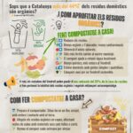 WhatsApp Image 2026-02-03 at 15.16.56