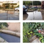 Entollament al parquing del Puig