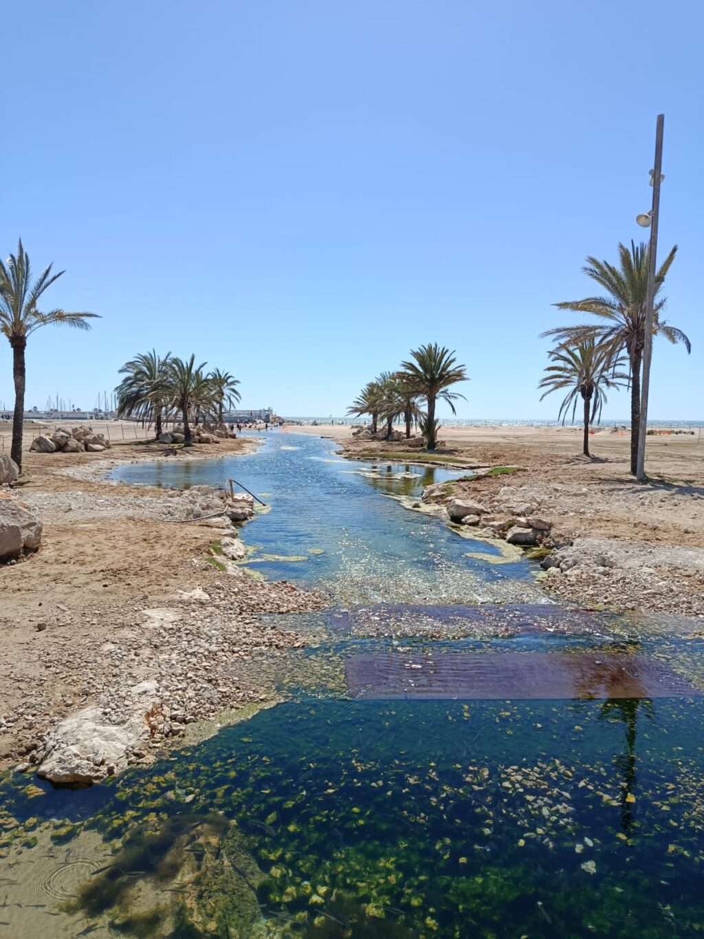 El riuet