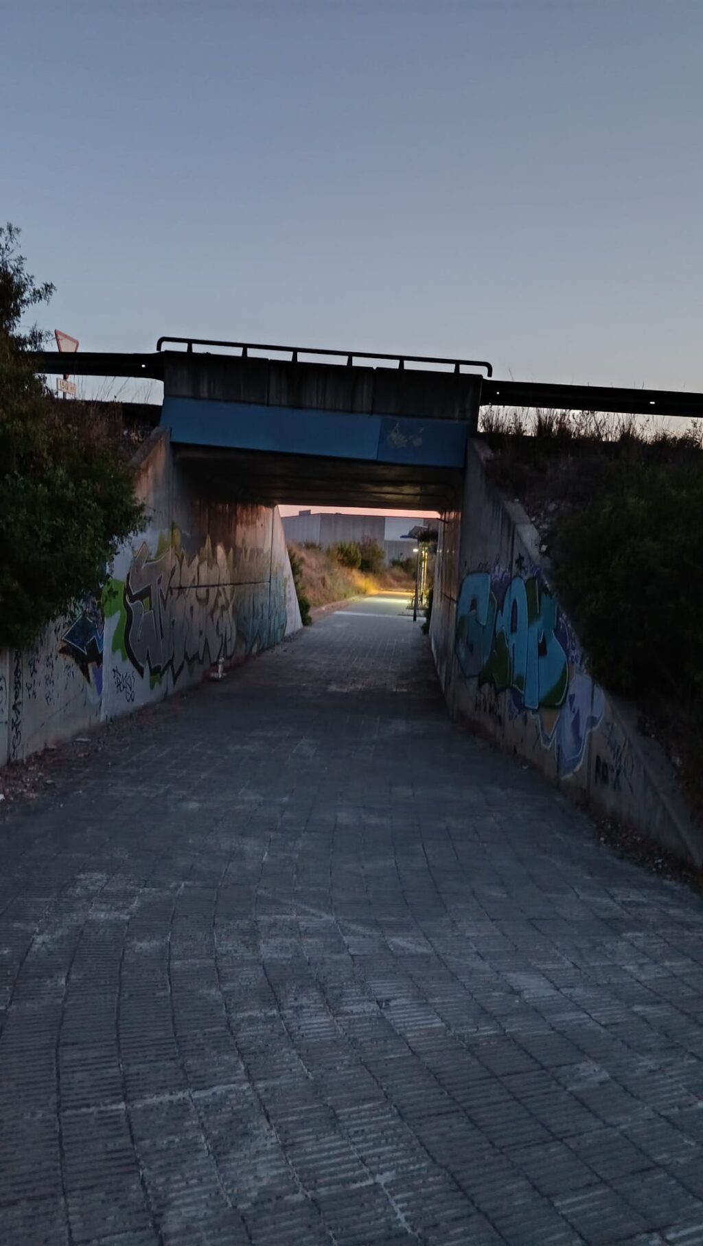 Cami peatonal a `hospital (5)