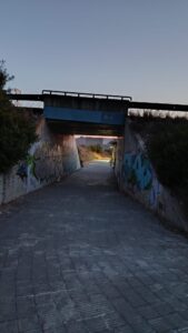 Cami peatonal a `hospital (5)