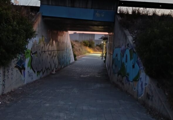 Cami peatonal a `hospital (5)