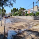 Carrer entollat 3