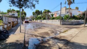 Carrer entollat 3