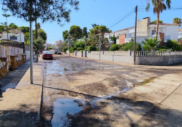 Carrer entollat 3