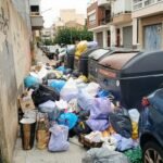 Brossa als carrers de Vendrell (13)