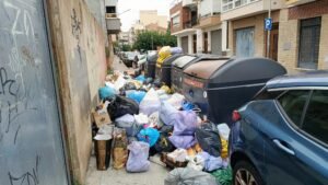 Brossa als carrers de Vendrell (13)