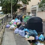 Brossa als  carrers de Vendrell  (14)