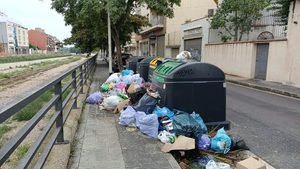 Brossa als  carrers de Vendrell  (14)