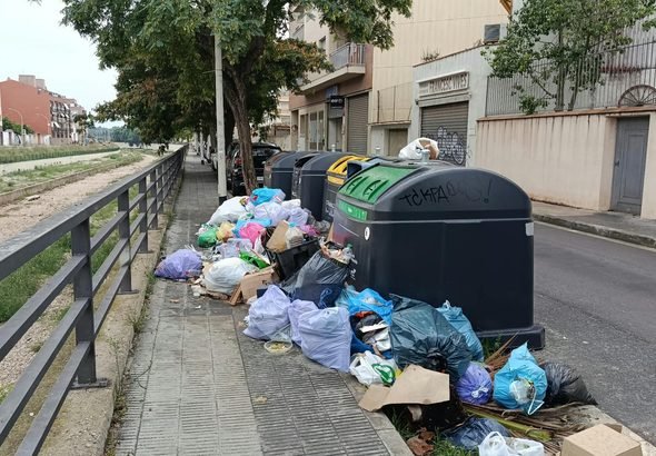 Brossa als  carrers de Vendrell  (14)